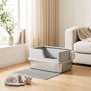 Cat sleeping beside the litter tray in a bright living room
