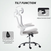 Ergonomic Mesh Back Office Chair With Lumbar Support For All Day Comfort, Grey