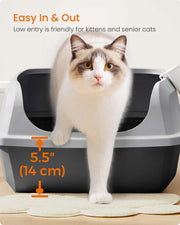 Cat inside the litter box showing the high sides