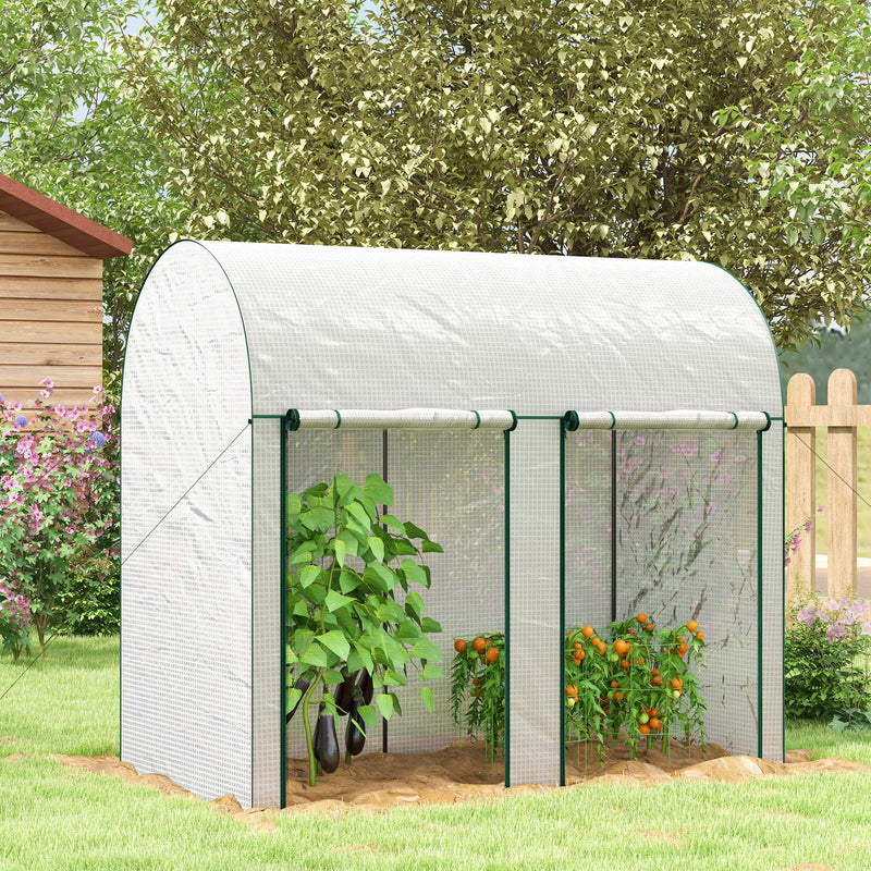Walk In Garden Greenhouse With Zipped Doors For Plant Protection 200 x 100cm White