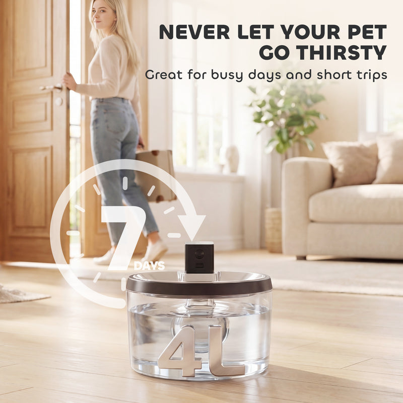 Cordless Pet Water Fountain with Motion Sensor and 4L Tank for Cats and Small Dogs Silver AOSOM