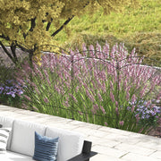 Black Steel Swirl Garden Fence Panels Set of 4 Decorative Picket Design for Outdoor Use