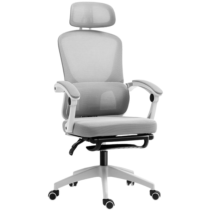 Grey Ergonomic Mesh Office Chair with Adjustable Lumbar Support and Footrest by HOMCOM