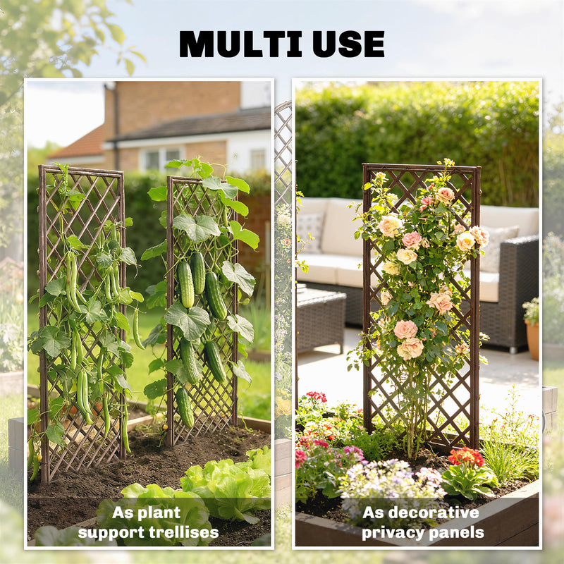 Garden Arch Set for Climbing Plants Hand Woven Wicker Slim Design Natural Wood Finish