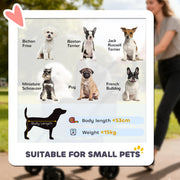 Pet Pram with Detachable Carrier for Easy Walks and Travel for Small Dogs or Cats Grey AOSOM