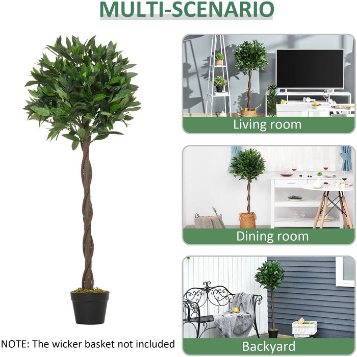 Set of 2 Topiary Bay Laurel Ball Trees, Indoor/Outdoor