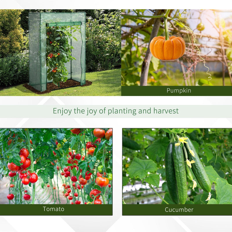 Compact Mini Greenhouse, Steel, Roll-up Door, 100x50x150cm