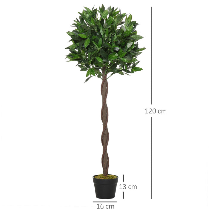 Set of 2 Topiary Bay Laurel Ball Trees, Indoor/Outdoor