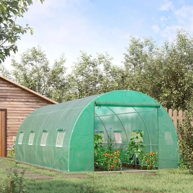 Large Polytunnel Greenhouse, Walk-in Design, Windows, 6x3m