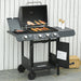 Image of a 3 burner gas bbq grill