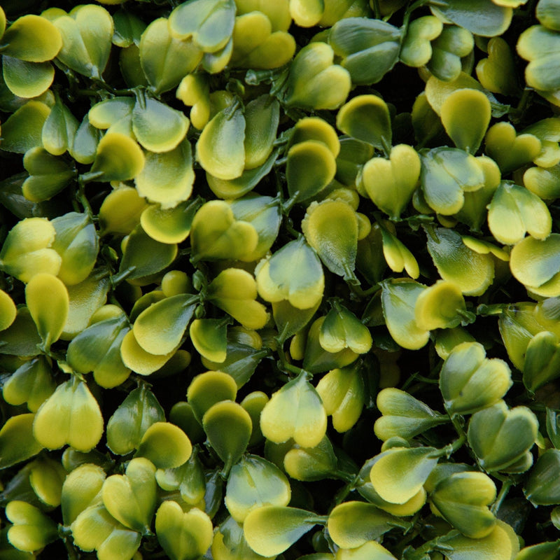 Artificial Boxwood Wall Panels, Milan Grass, 12PCS, 20" Outsunny