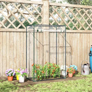 Compact Mini Greenhouse Clear