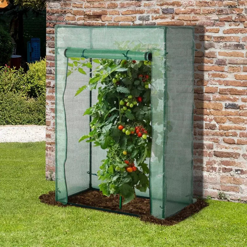 Compact Mini Greenhouse, Steel, Roll-up Door, 100x50x150cm