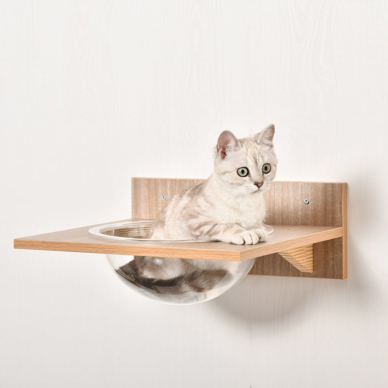 4PC Wall Cat Climbing Shelf, Hammock, Scratch Post, Brown