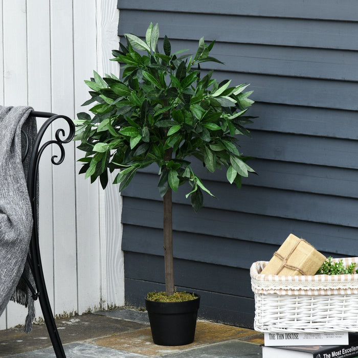 Set of 2 Topiary Bay Laurel Ball Trees, Indoor/Outdoor