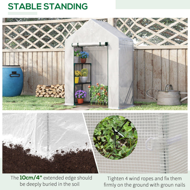 Portable Greenhouse, 2-Tier Shelf, Roll-Up Door, PE Cover