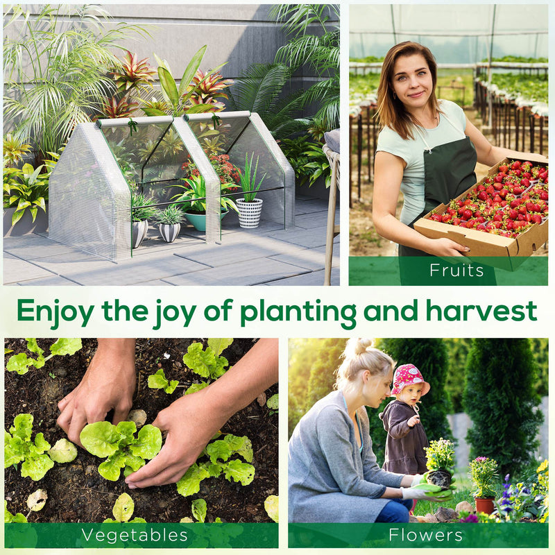 Compact Greenhouse With Roll Up Windows, White