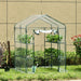 Small Greenhouse 5x5ft Clear