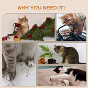 Wall Mounted Shelves For Cats Pawhut