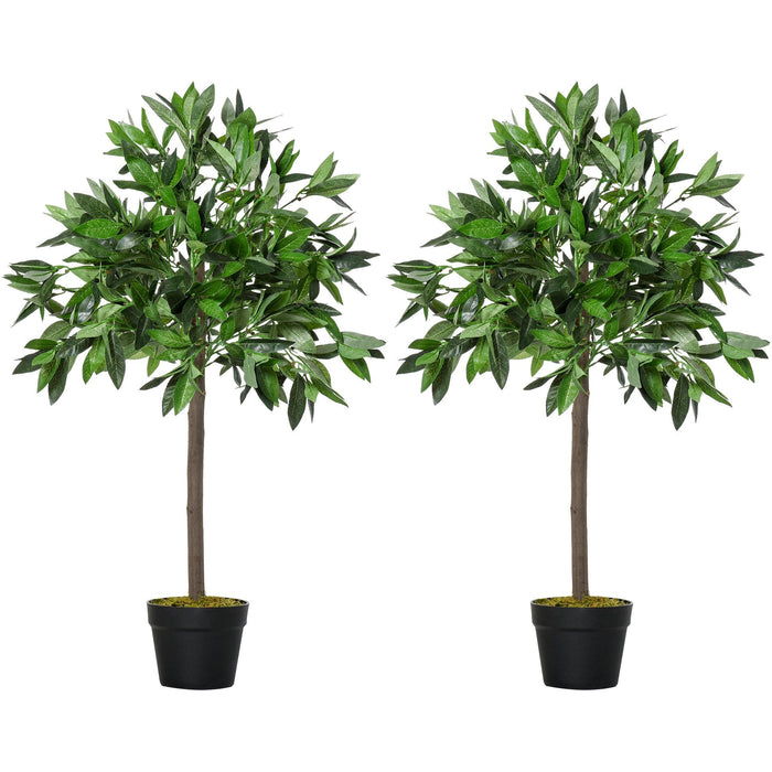 Set of 2 Topiary Bay Laurel Ball Trees, Indoor/Outdoor