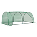 Small Tunnel Greenhouse Green