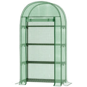 Stylish Mini Greenhouse With Arched Top