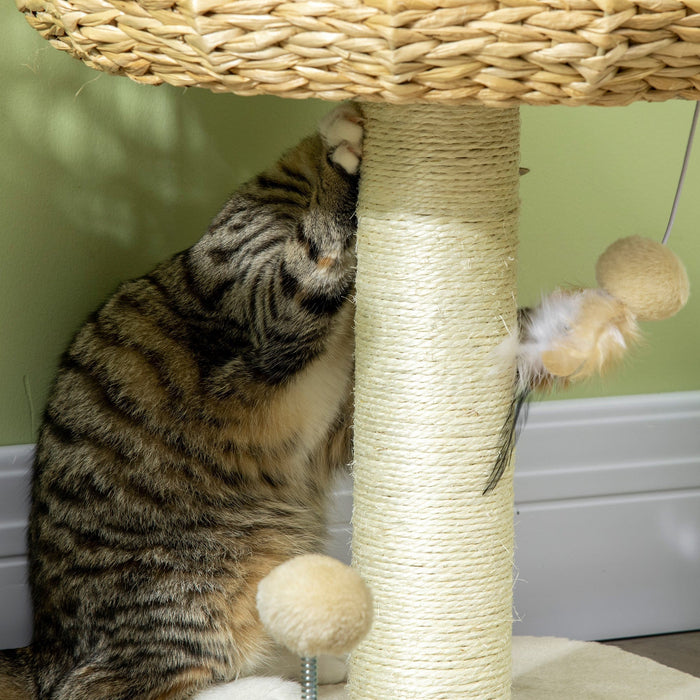 51cm Cat Tree With Sisal Scratching Post