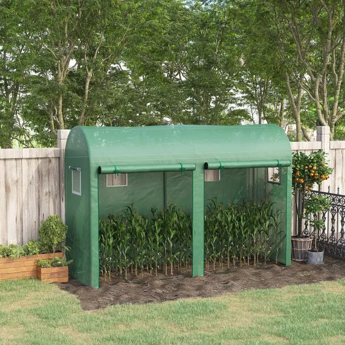 Tomato_Plant_Greenhouse_Growhouse