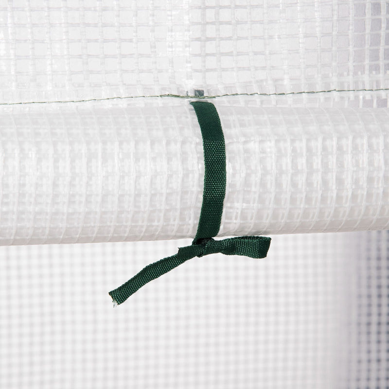 Portable Greenhouse, 2-Tier Shelf, Roll-Up Door, PE Cover