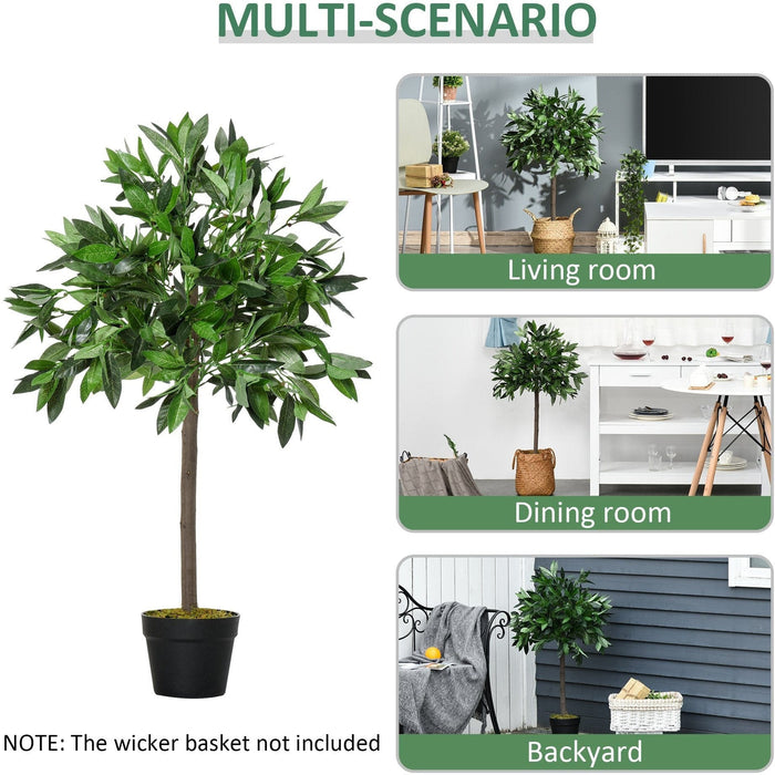 Set of 2 Topiary Bay Laurel Ball Trees, Indoor/Outdoor