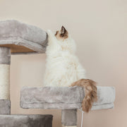 Feandrea Light Grey Tall Cat Activity Centre