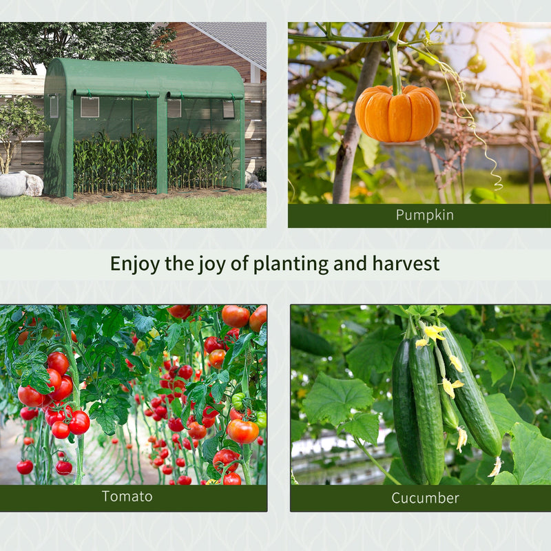 Tomato Greenhouse, Steel Frame, L300xW100xH200cm, Green