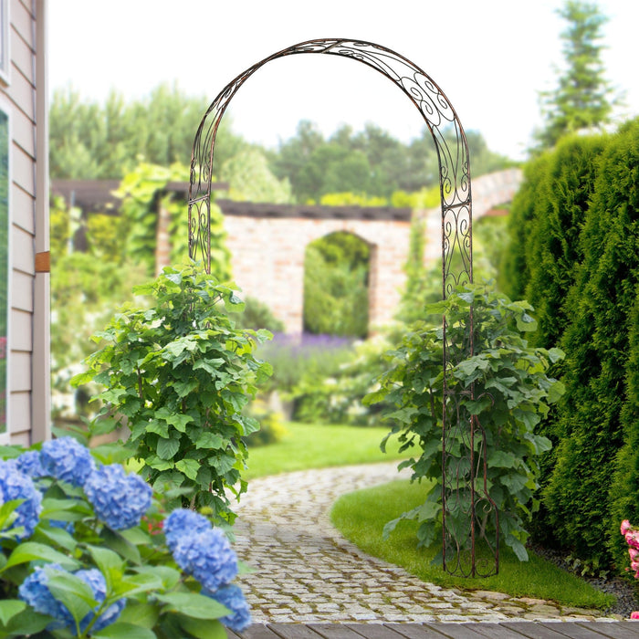 Metal Garden Arch, Climbing Plants, L120 x W30 x H226cm