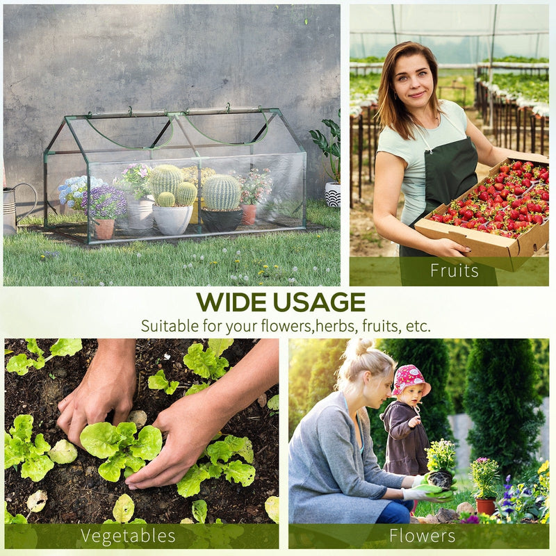 Portable Mini Greenhouse, 120 x 60 x 60 cm, Clear