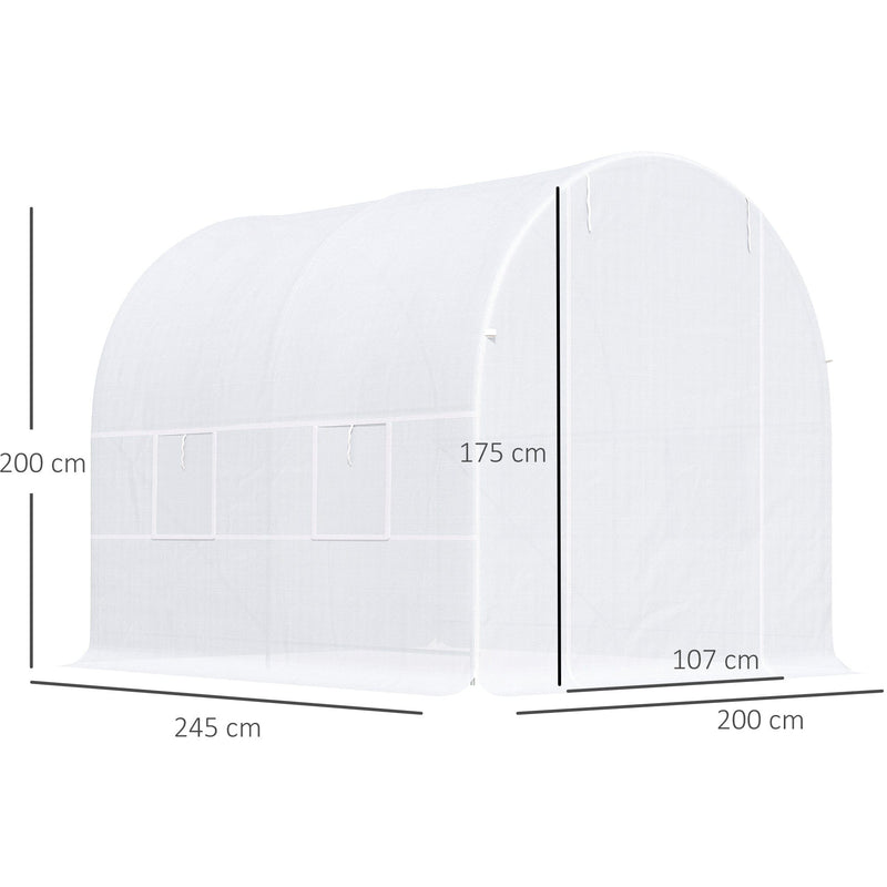 Large Walk In Greenhouse, Galvanised Steel, 2.5x2x2m, White