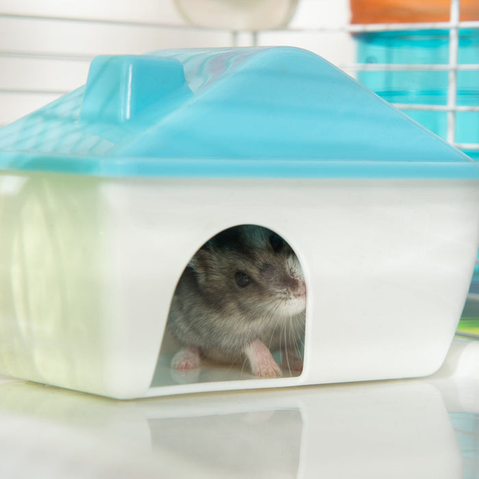 Multi level hamster outlet cage