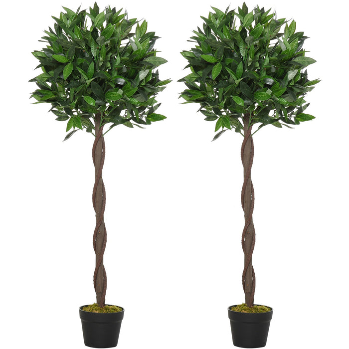 Set of 2 Topiary Bay Laurel Ball Trees, Indoor/Outdoor