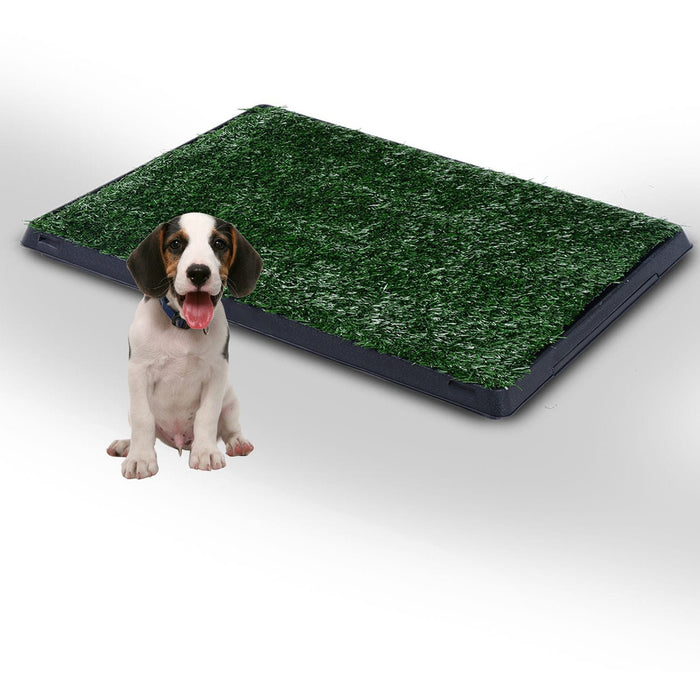 Indoor Pet Toilet Training Mat