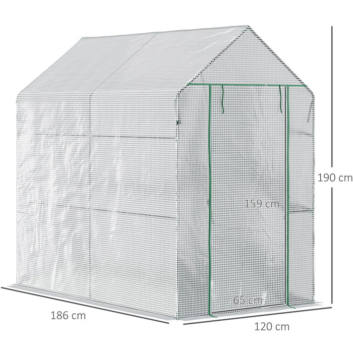 Small Walk In Greenhouse, 6x4ft, Steeple Style, Clear