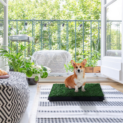 Indoor Pet Toilet Training Mat Pawhut